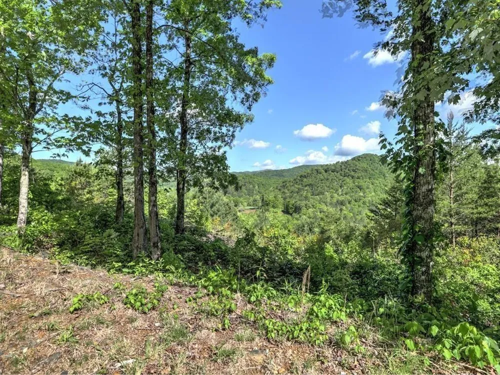 0 Bent Grass Way Clayton, GA 30525