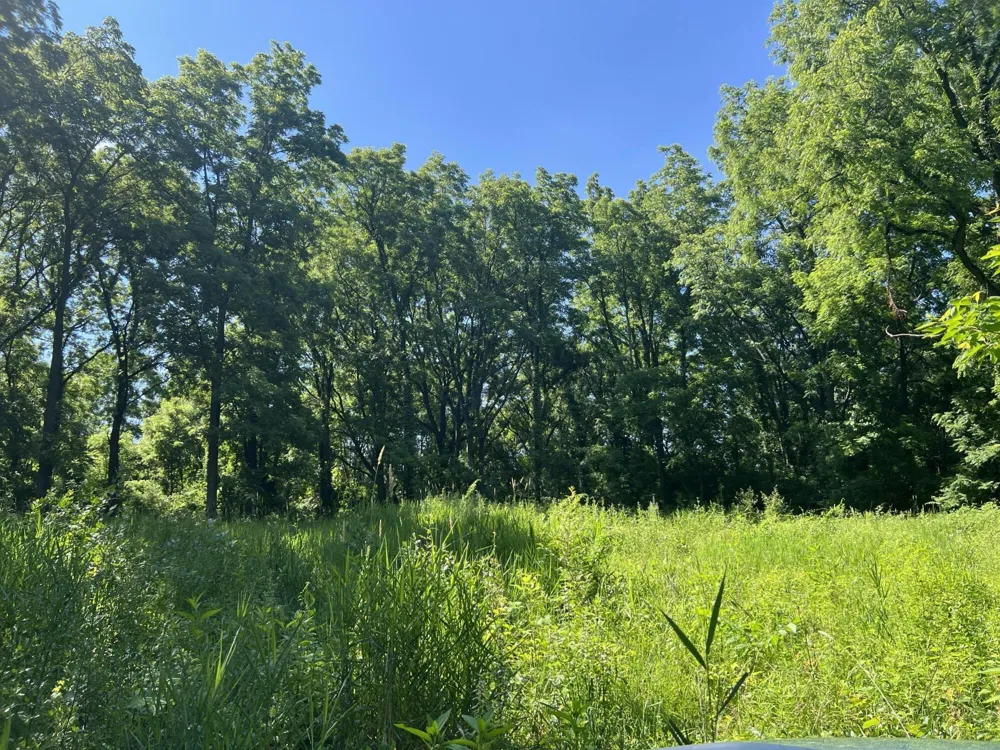 15267 Oak Hollow Drive Holly, MI 48442