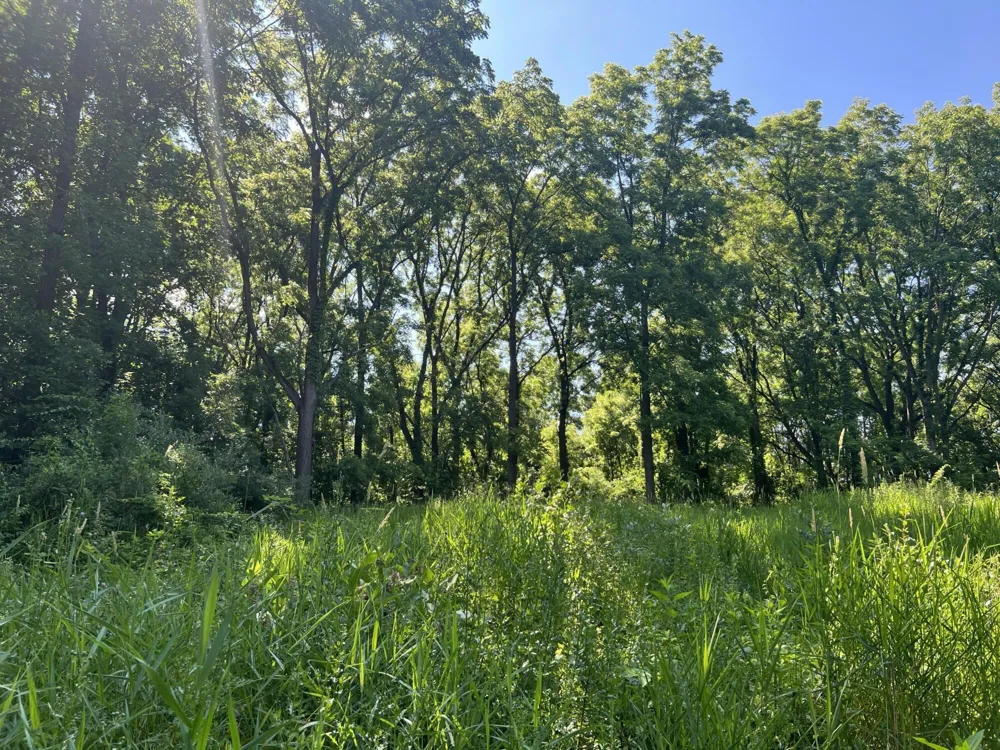 15267 Oak Hollow Drive Holly, MI 48442