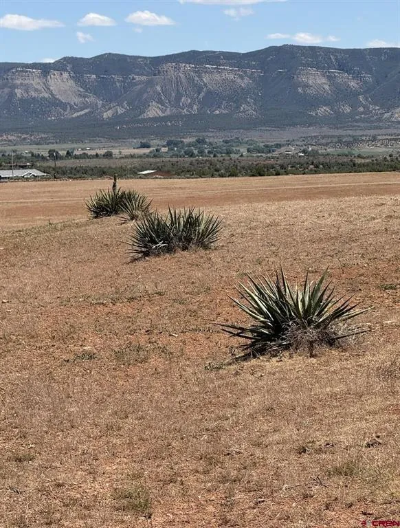 Road 22.6 Cortez, CO 81321