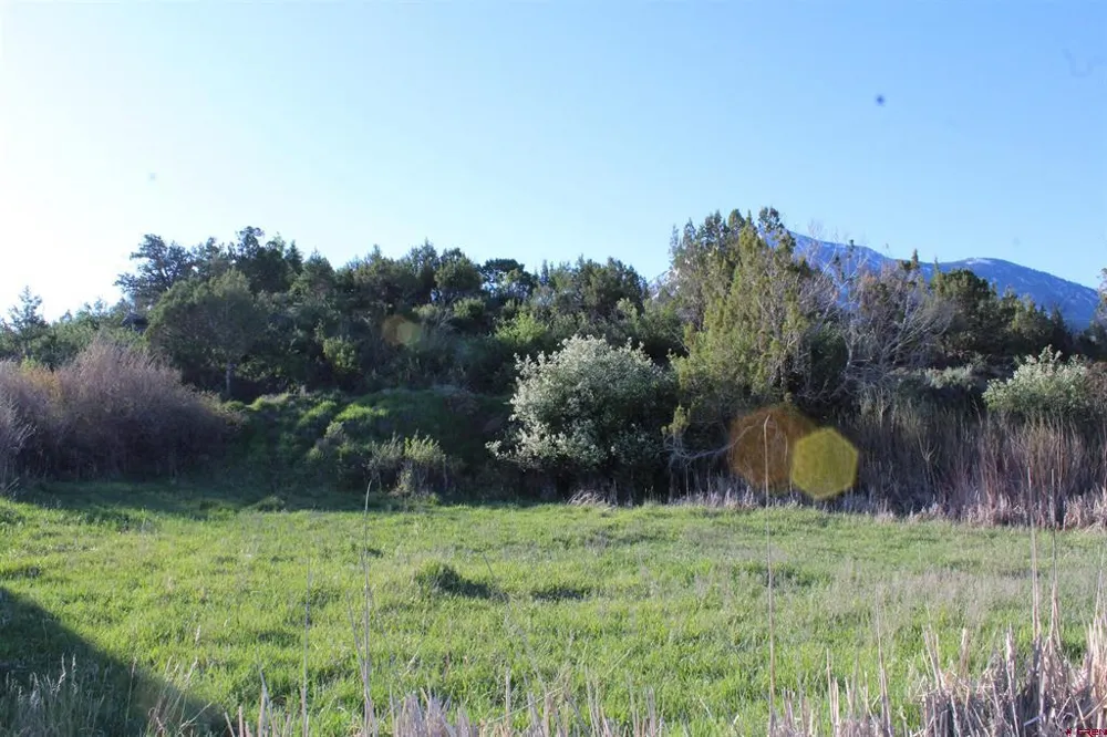 9 Gunnison Mountain Lane Paonia, CO 81428