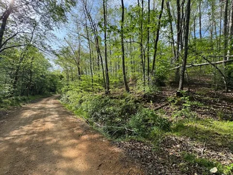 455 Moss Spring Hollow Road