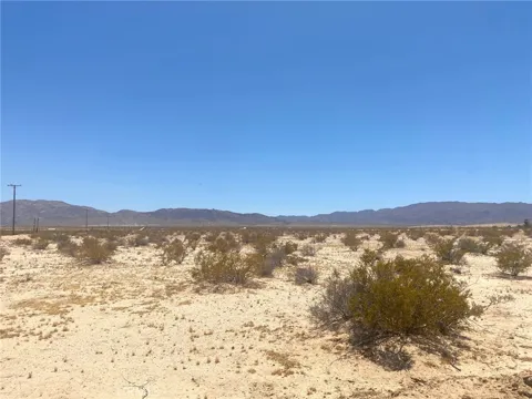 Mojave