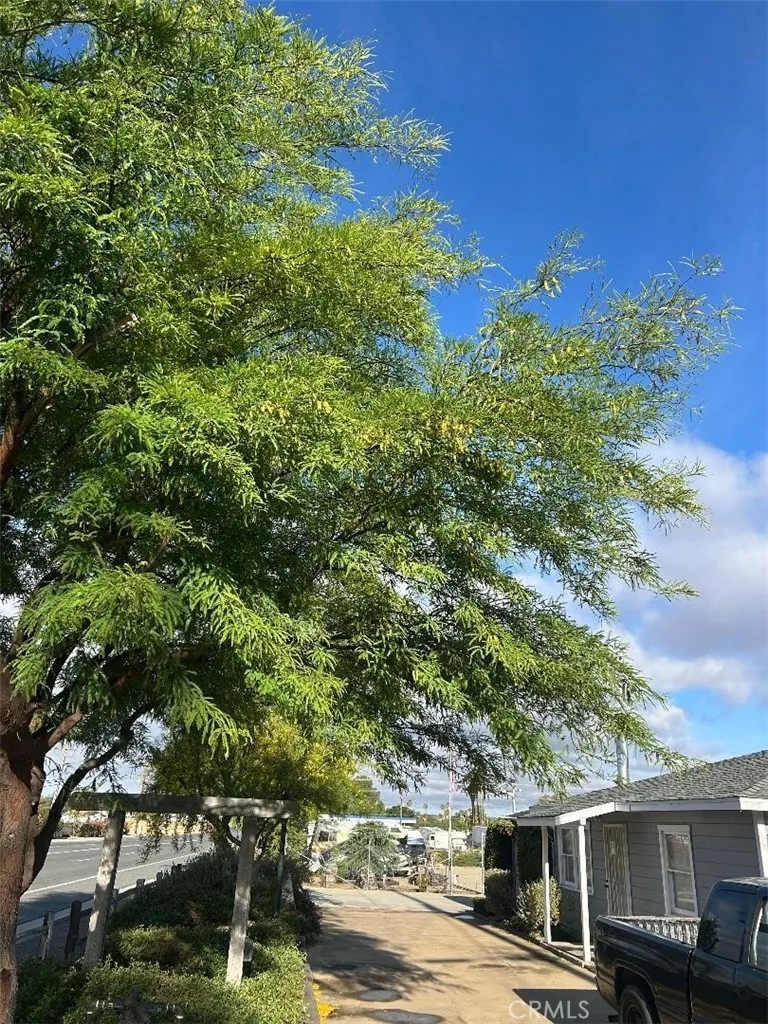 44618 State Highway 74 Hemet, CA 92544