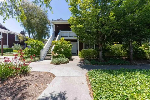 211 Bayside Ct