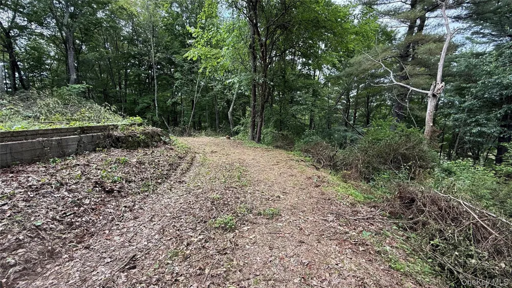 66 Ryan Road Pine Plains, NY 12567
