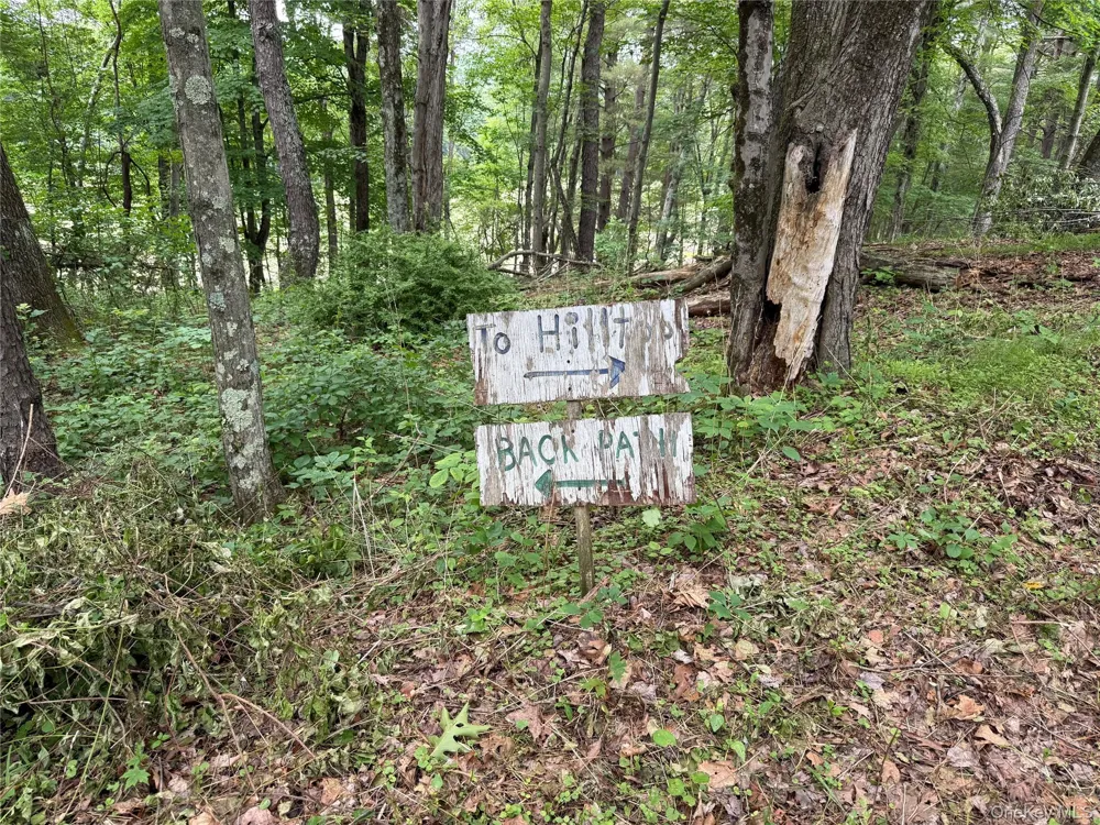66 Ryan Road Pine Plains, NY 12567