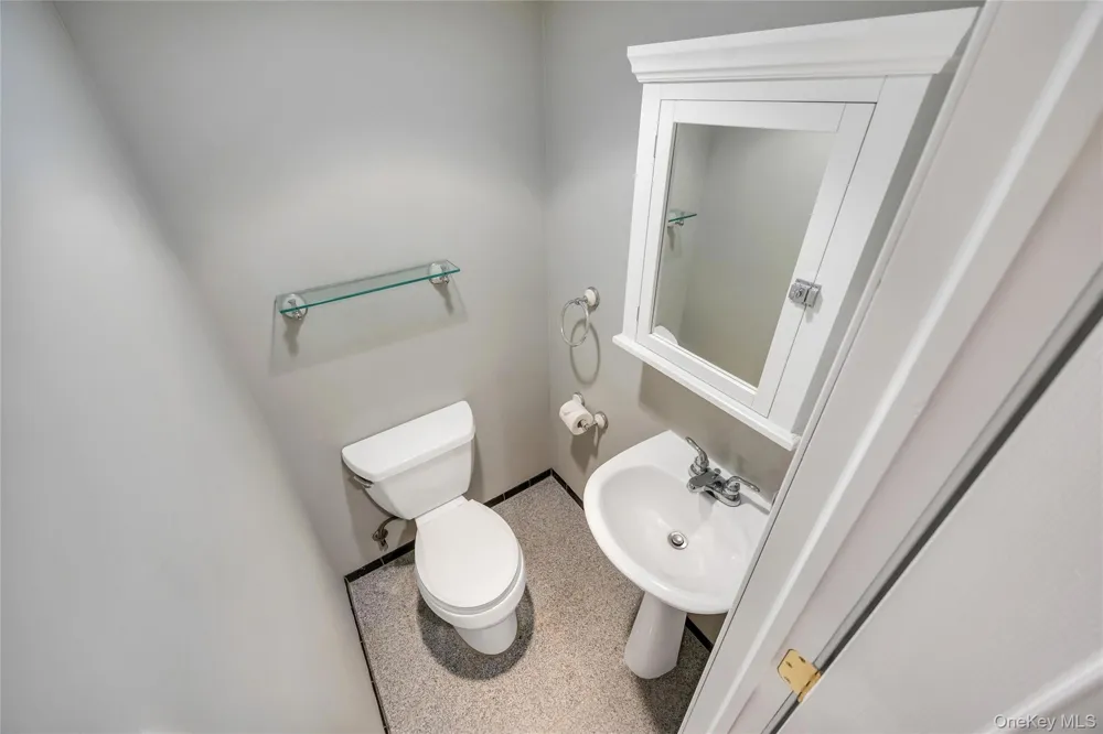2 Briggs Street Hicksville, NY 11801