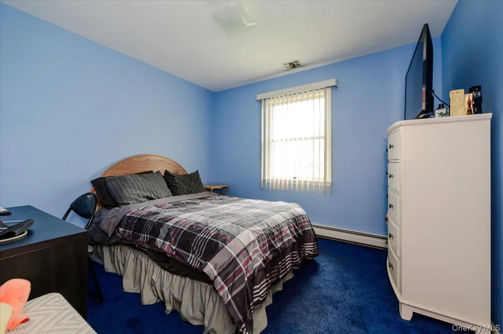48 Meadow Lane Hicksville, NY 11801