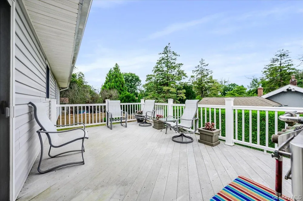 48 Meadow Lane Hicksville, NY 11801