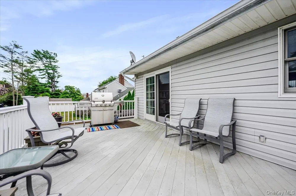 48 Meadow Lane Hicksville, NY 11801