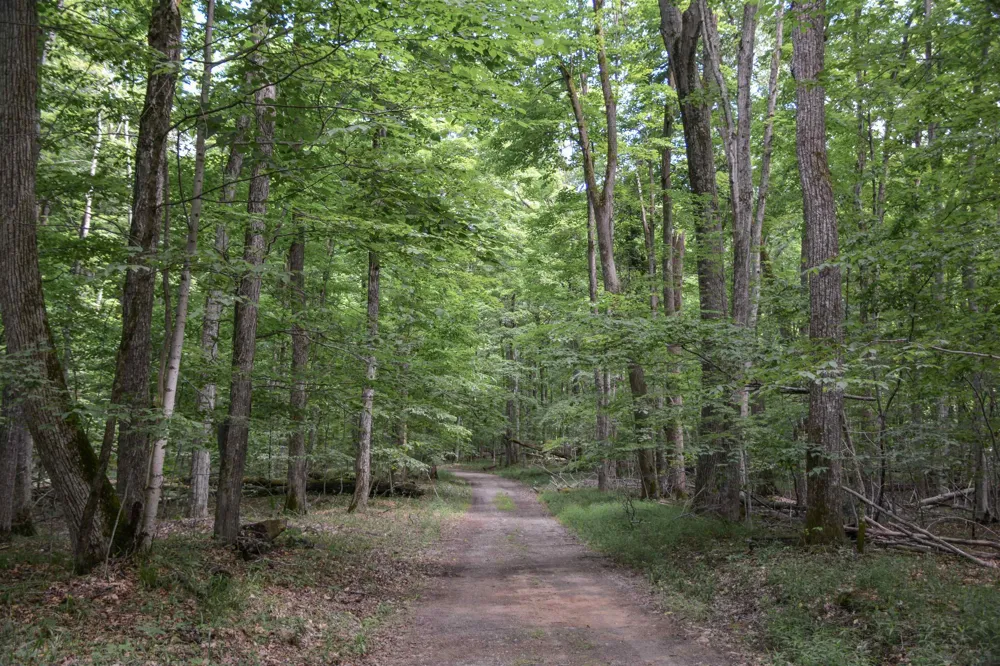 16568 Wagner Road Almira Township, MI 49650