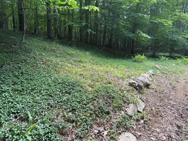 16568 Wagner Road Almira Township, MI 49650
