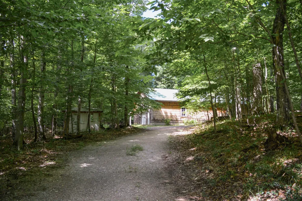 16568 Wagner Road Almira Township, MI 49650