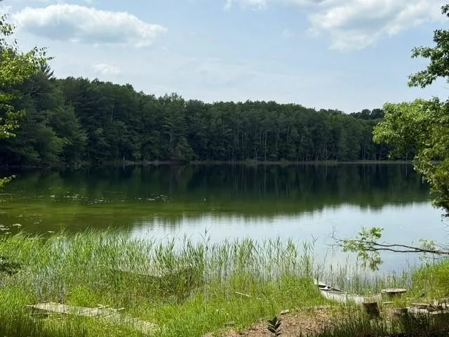 16568 Wagner Road Almira Township, MI 49650