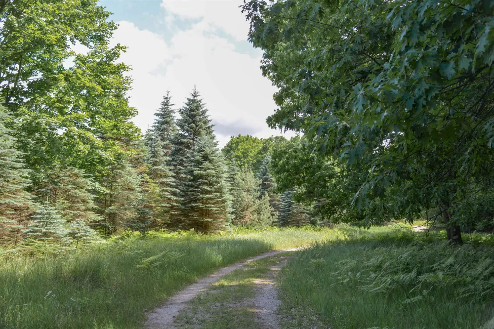 16568 Wagner Road Almira Township, MI 49650