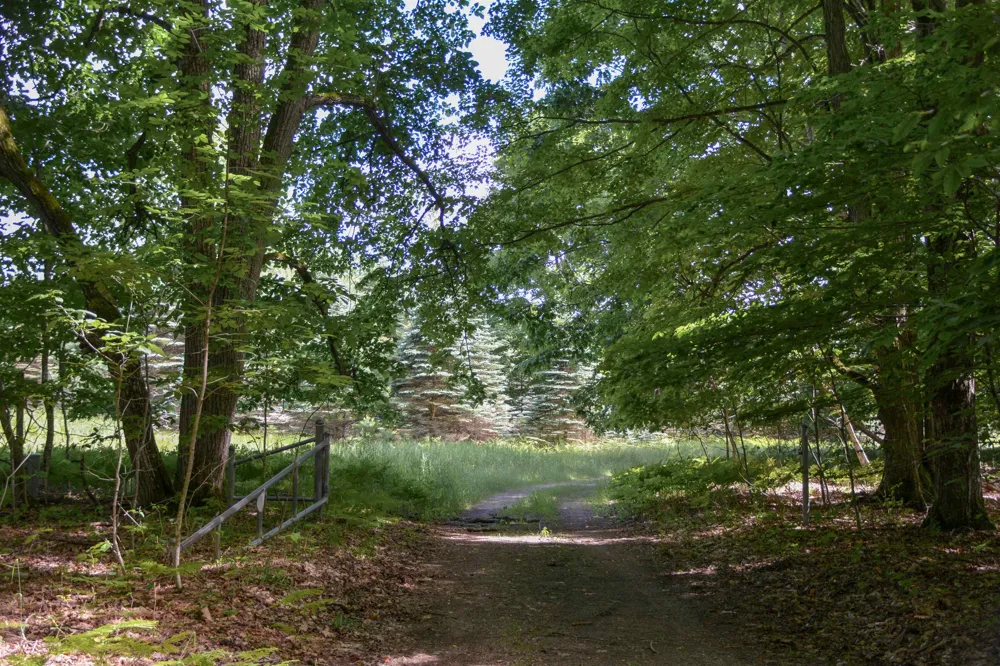 16568 Wagner Road Almira Township, MI 49650