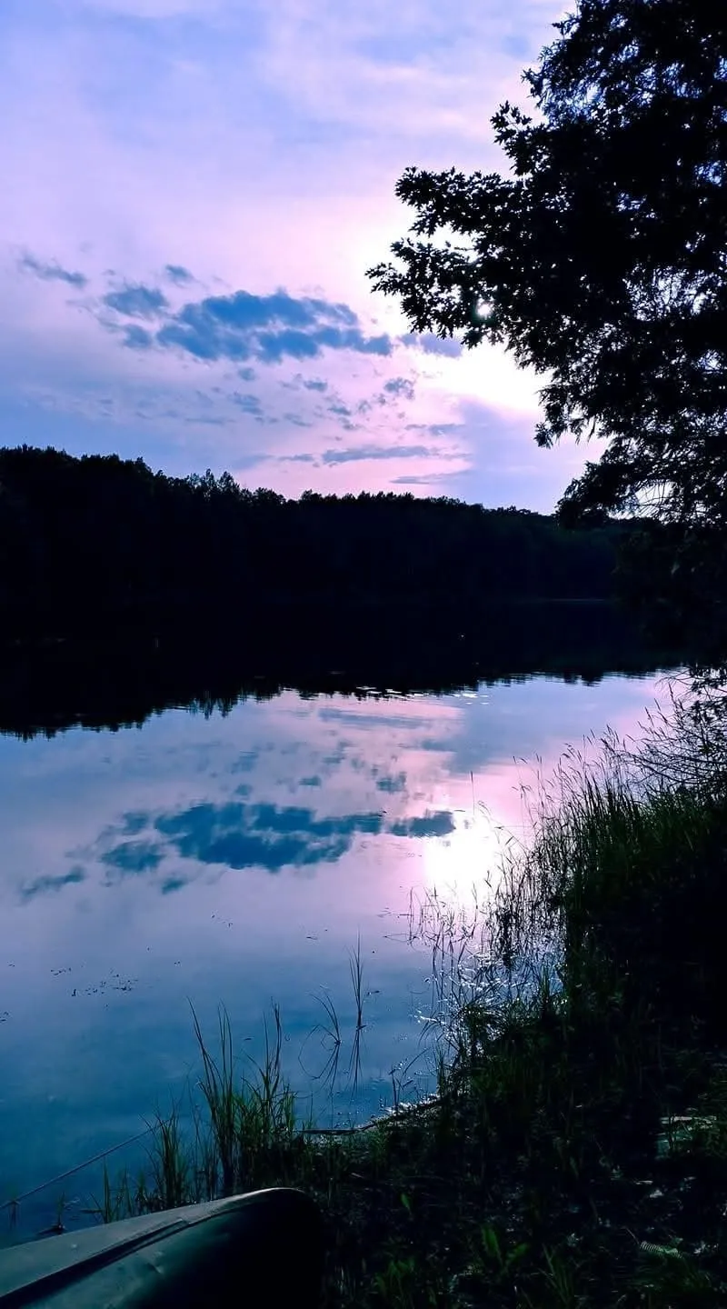 16568 Wagner Road Almira Township, MI 49650
