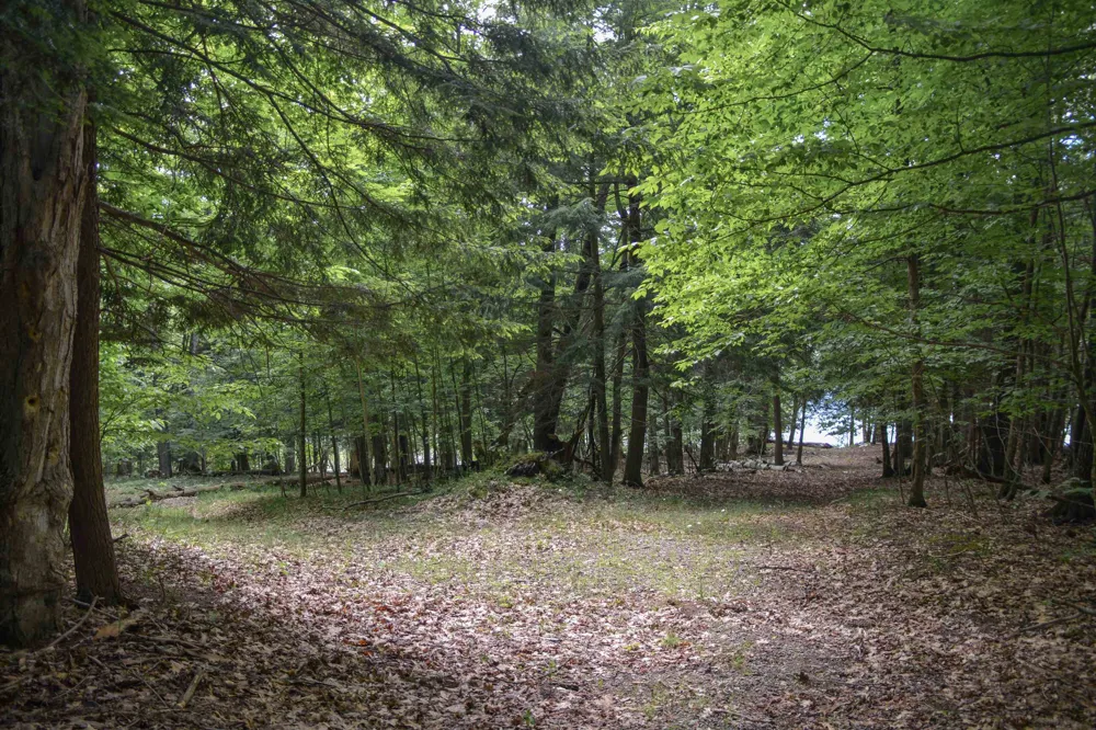 16568 Wagner Road Almira Township, MI 49650