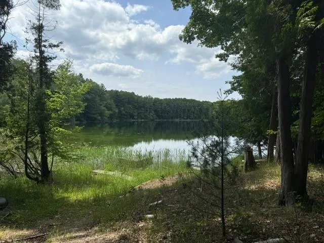 16568 Wagner Road Almira Township, MI 49650