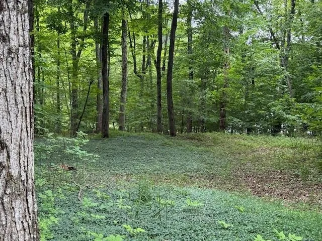 16568 Wagner Road Almira Township, MI 49650