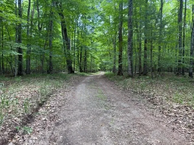 16568 Wagner Road Almira Township, MI 49650