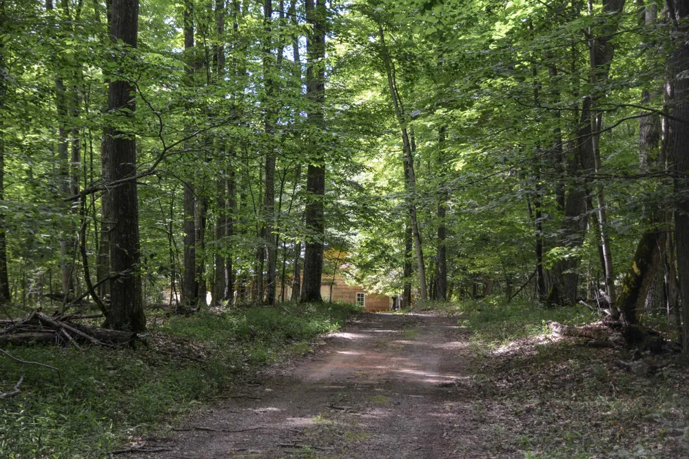 16568 Wagner Road Almira Township, MI 49650