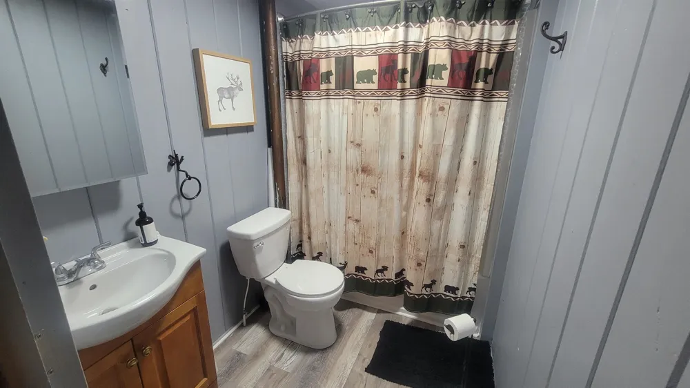 3619 Chippewa Drive Curtis Township, MI 48737
