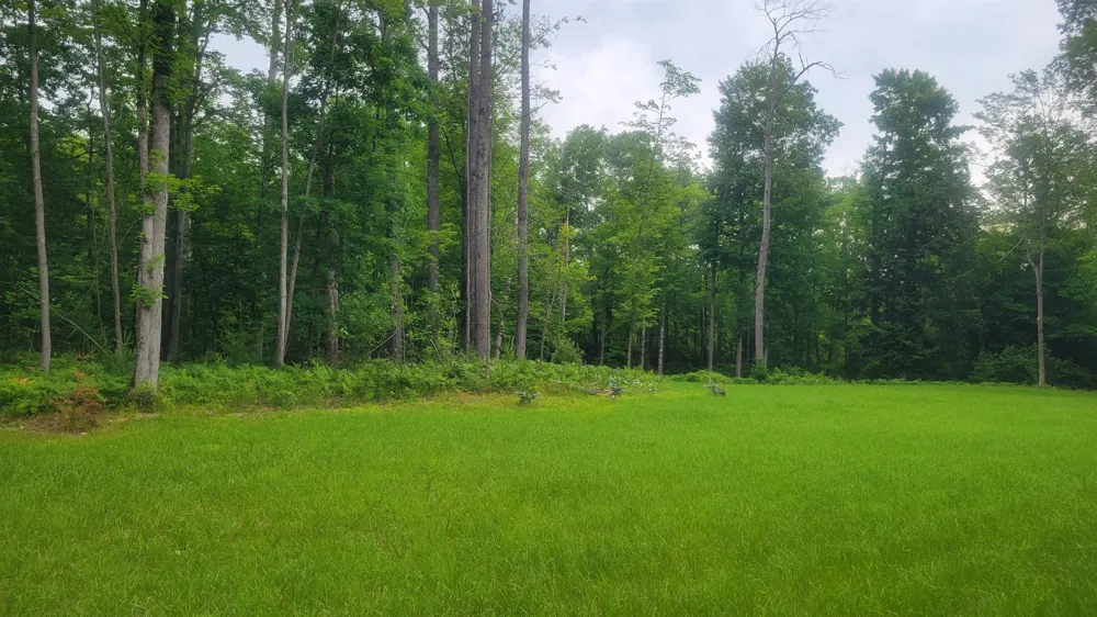 3619 Chippewa Drive Curtis Township, MI 48737