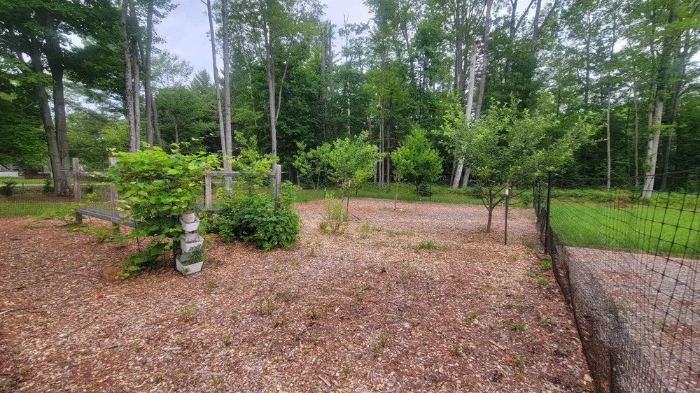 3619 Chippewa Drive Curtis Township, MI 48737