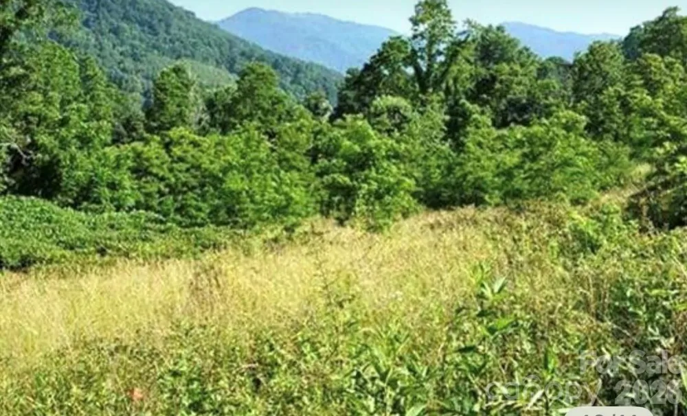 00 Split Pine Cove Clyde, NC 28721