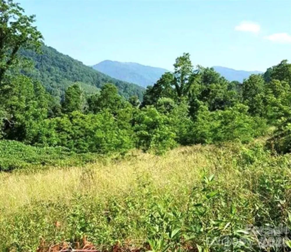 00 Split Pine Cove Clyde, NC 28721