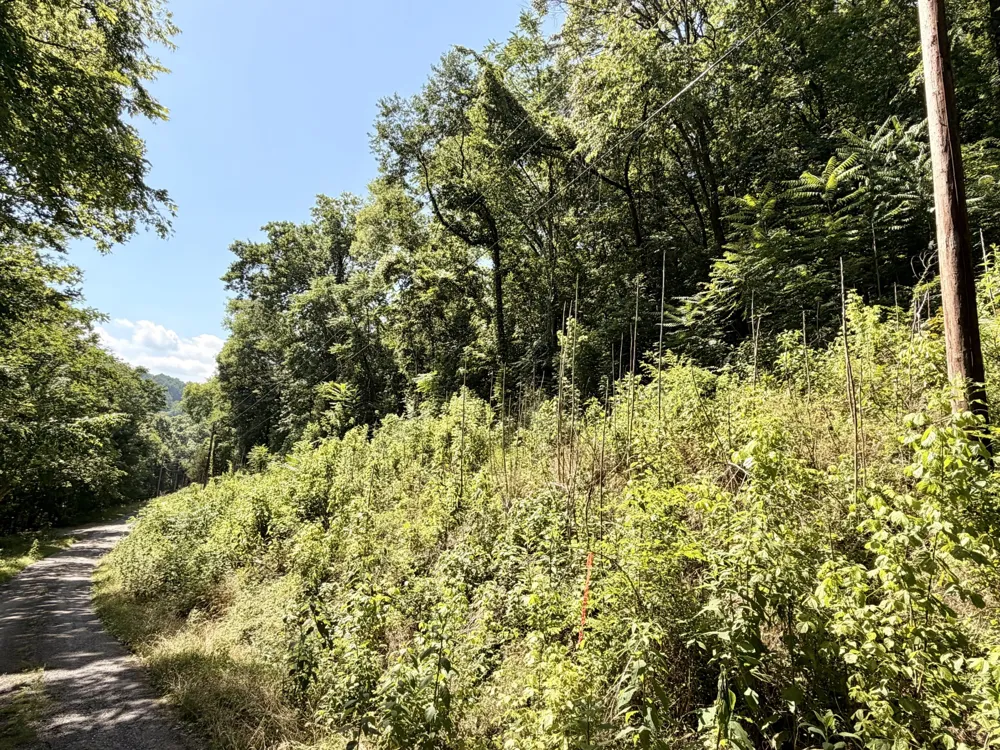 0 Silver Point Rd Silver Point, TN 38582