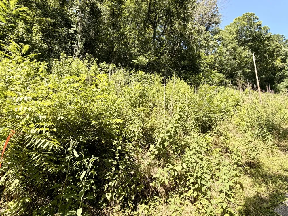 0 Silver Point Rd Silver Point, TN 38582