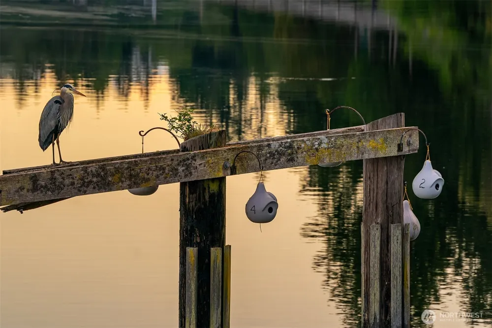 5 Pintail Road Port Ludlow, WA 98365
