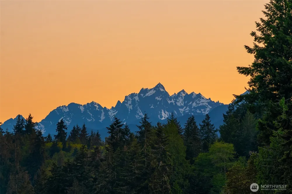 3 Pintail Road Port Ludlow, WA 98365