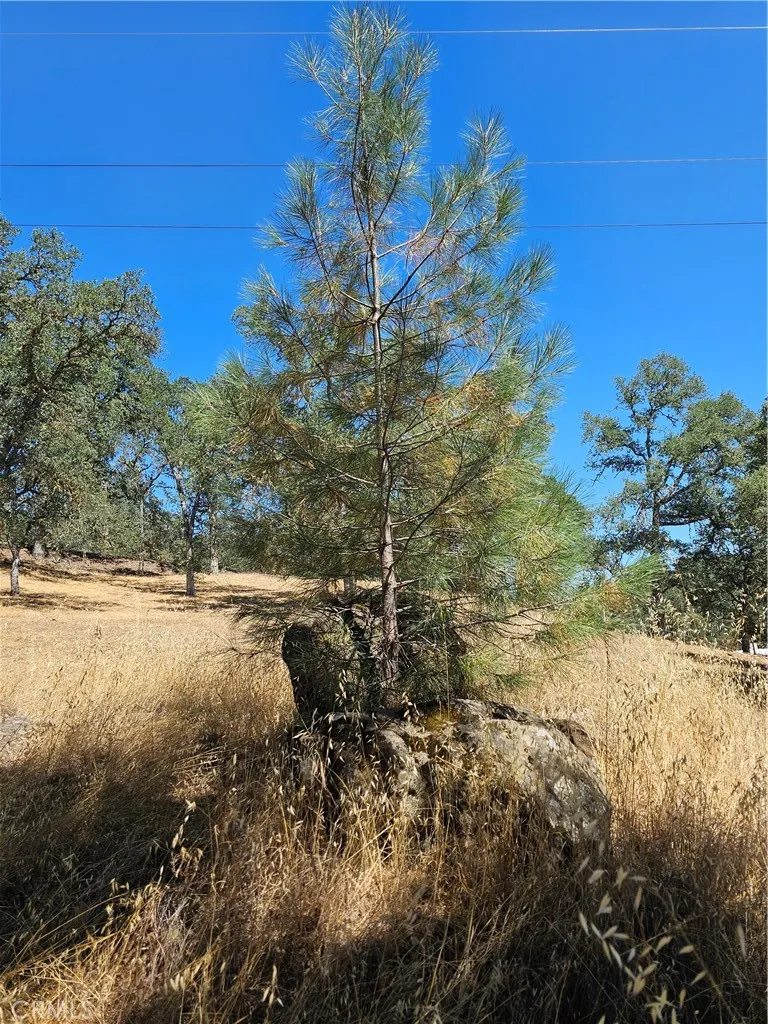 15847 Joseph Lower Lake, CA 95457