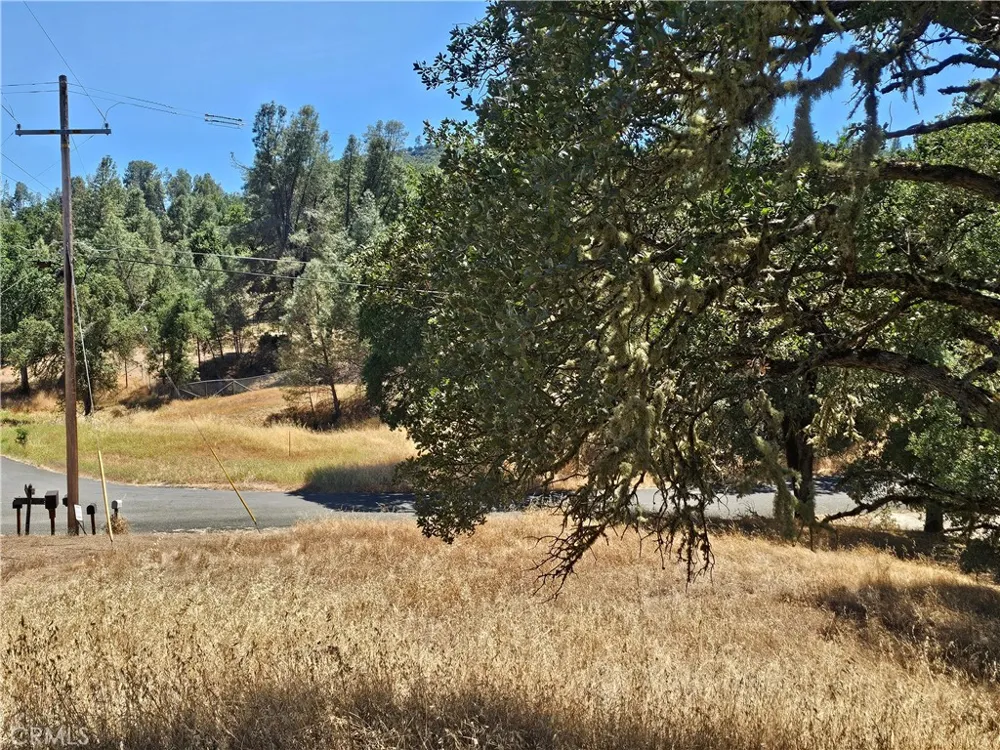 15847 Joseph Lower Lake, CA 95457