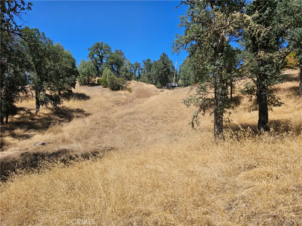 15847 Joseph Lower Lake, CA 95457