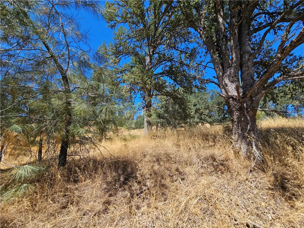 15847 Joseph Lower Lake, CA 95457