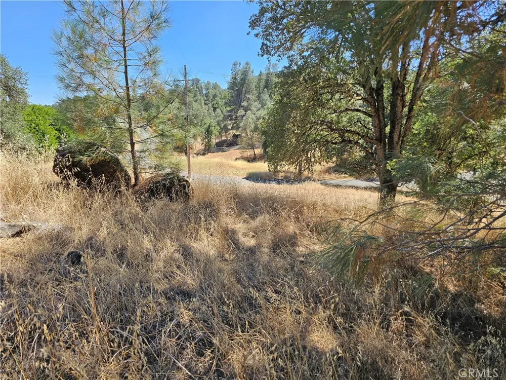 15847 Joseph Lower Lake, CA 95457