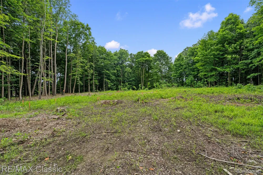 7888 N Territorial Webster Township, MI 48130