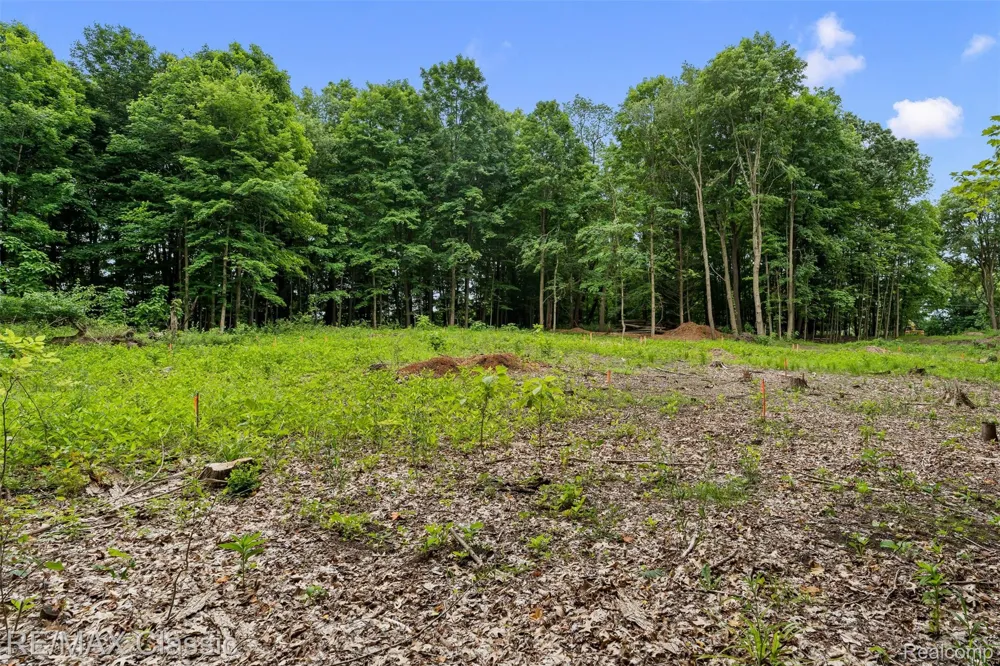 7888 N Territorial Webster Township, MI 48130
