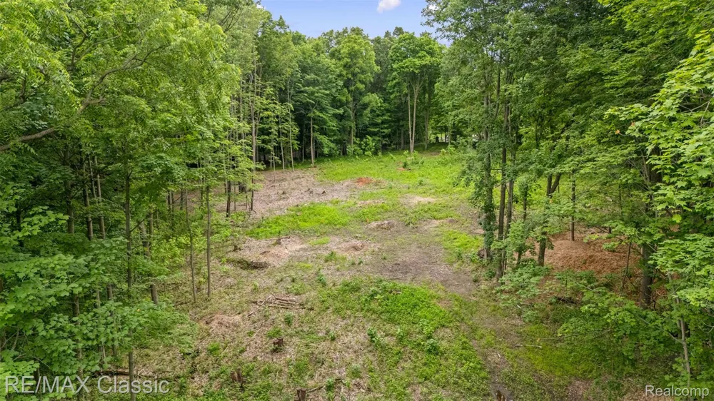 7888 N Territorial Webster Township, MI 48130