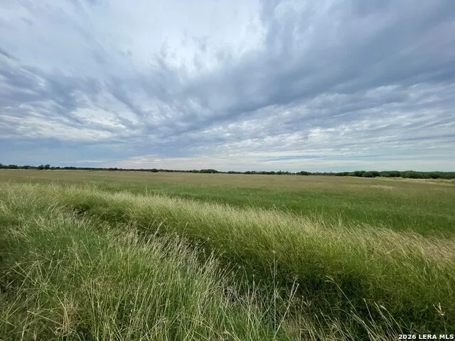 1085 MOSES RD Quemado, TX 78877
