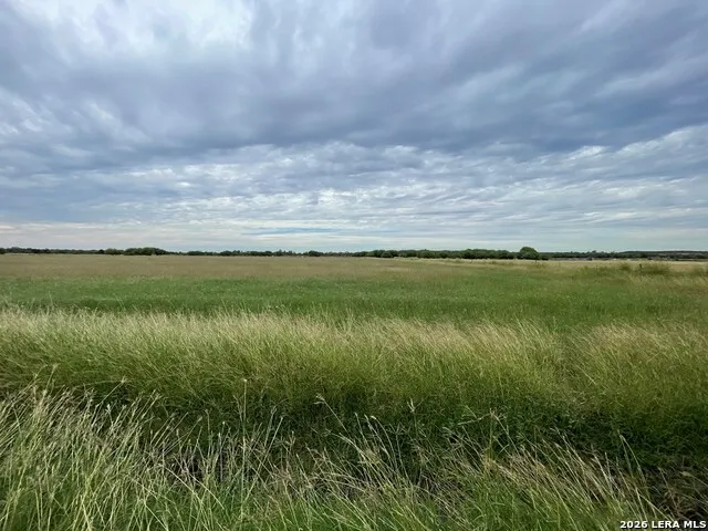 1085 MOSES RD Quemado, TX 78877