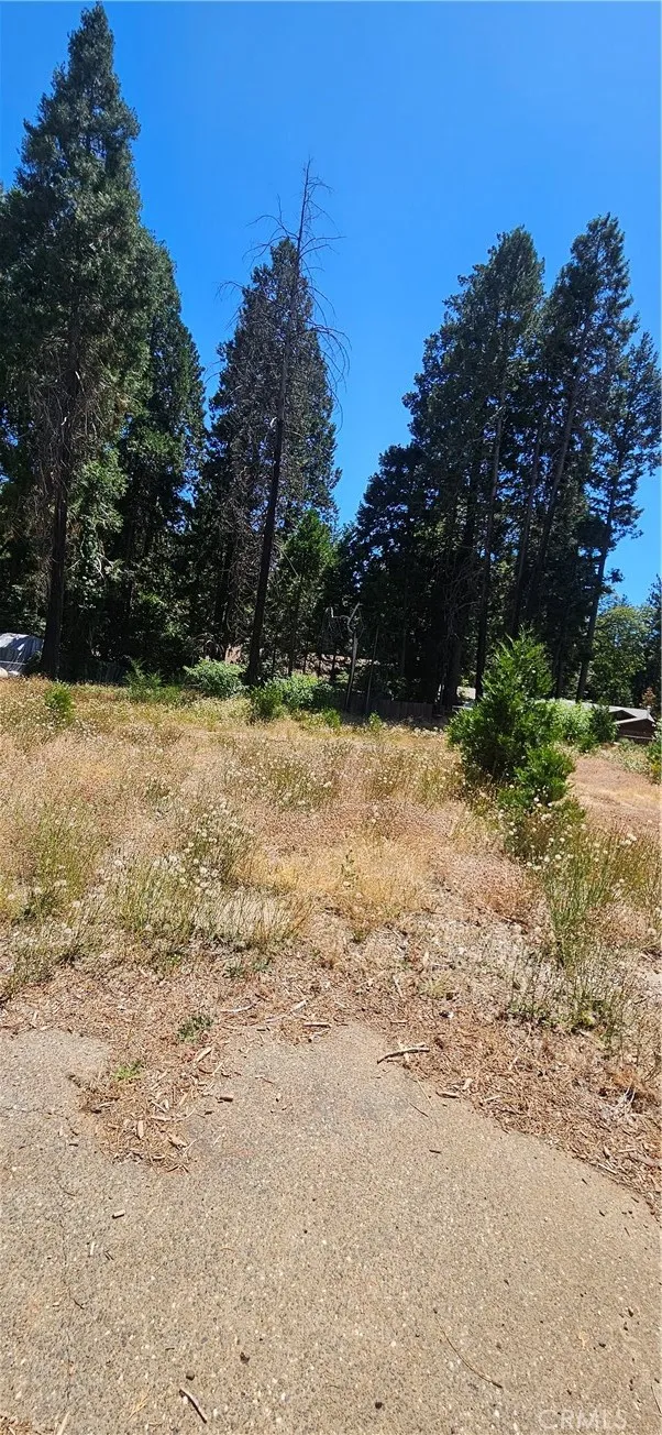 14214 Wingate Magalia, CA 95954