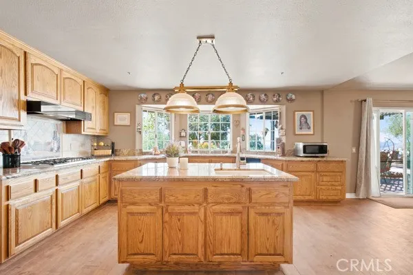 9722 Hierba Agua Dulce, CA 91390