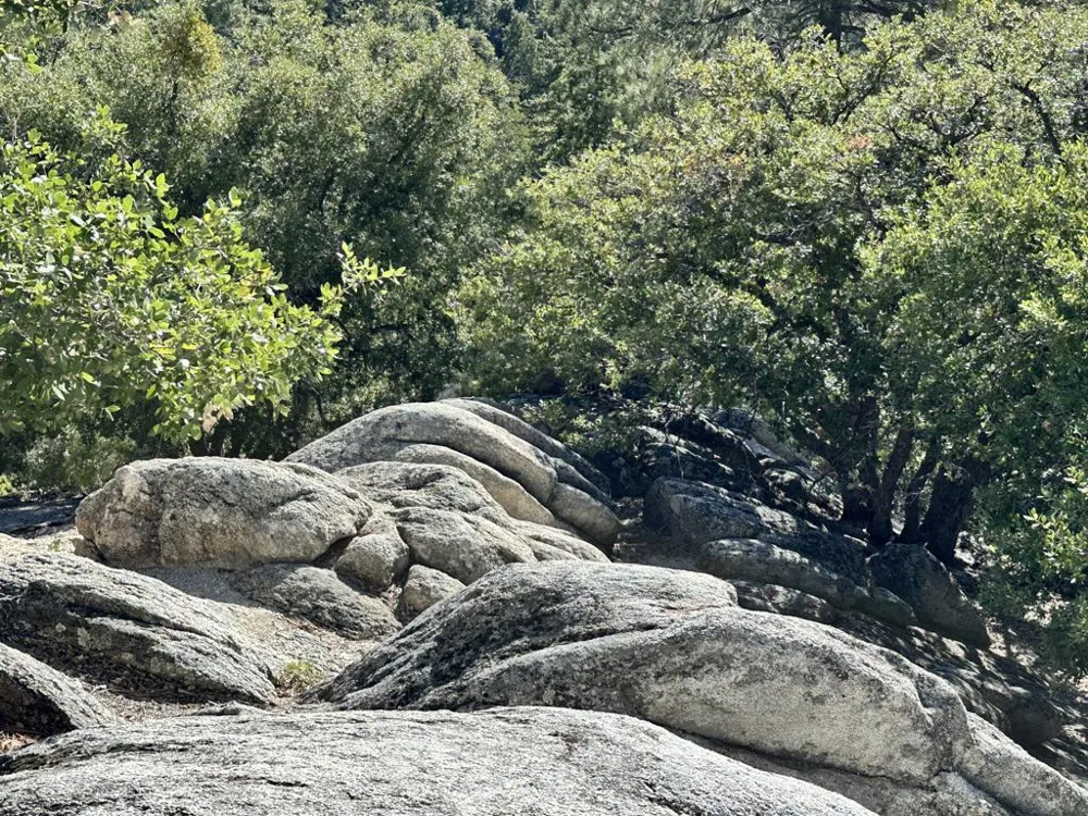 Mountain View Drive Idyllwild, CA 92549