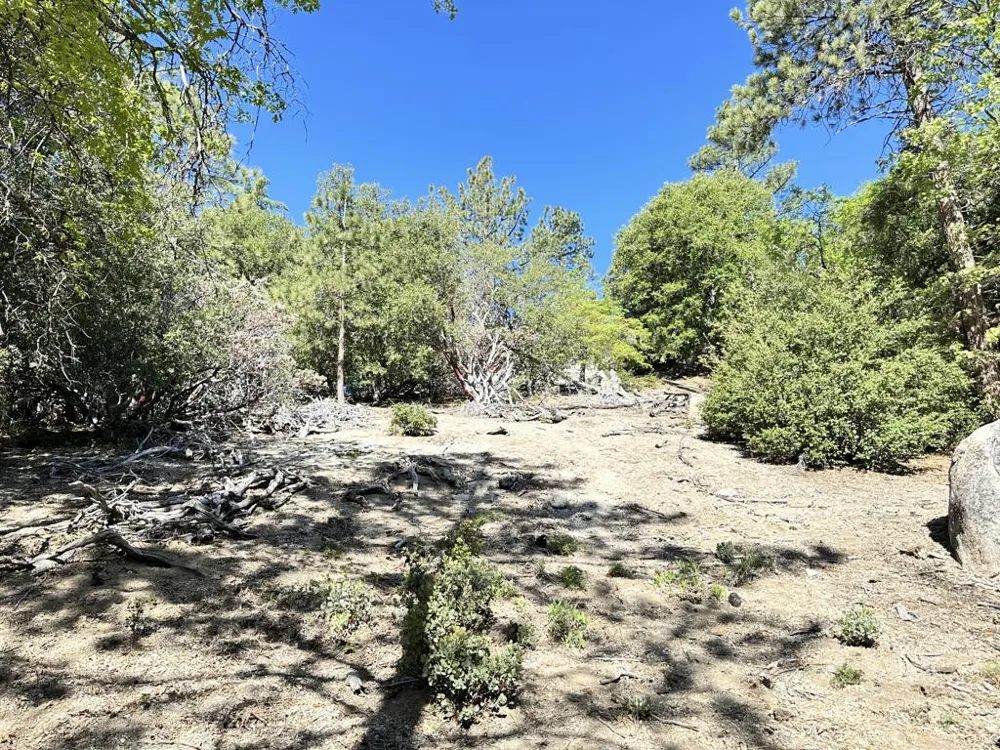 Mountain View Drive Idyllwild, CA 92549